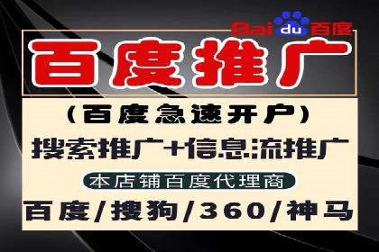 SEM推广案例：提升网站转化率策略解析